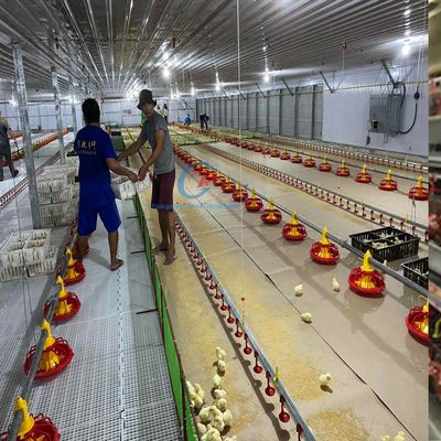 Moderno Q235 Q345 Estructura de acero Casa de aves para una agricultura eficiente