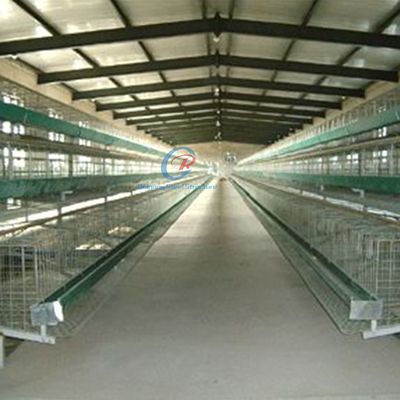 Estructura de acero galvanizado Casita de aves de corral personalizada con paneles aislados