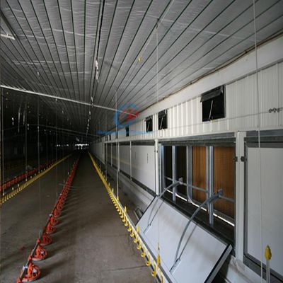 Construcciones de acero de las granjas avícolas, Q235 Q345 Construcciones de acero para el ganado