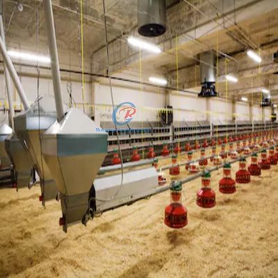 Estructura prefabricada de acero Casa de aves de corral Cuadro de acero personalizado Coop de pollo