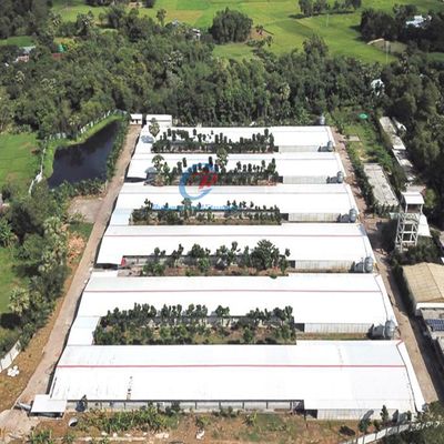 Estructura de acero galvanizado Casa de aves de corral Edificio de granja Coop de pollo Marco de acero prefabricado