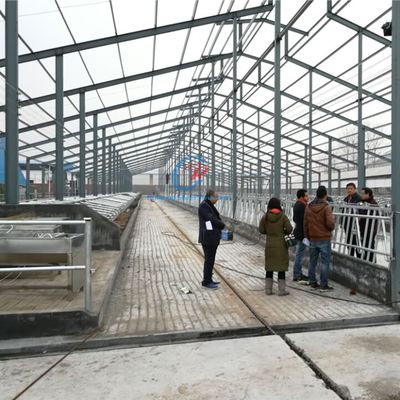 Estructura de acero ligero Granero de vacas Cuadro prefabricado de acero Edificios agrícolas