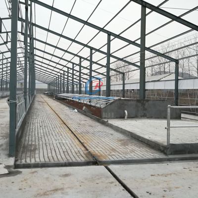 Edificios de estructura de acero de construcción duradera de estructura de acero personalizada Edificios agrícolas