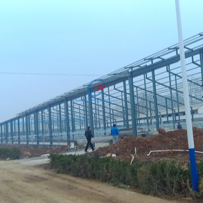 Edificios prefabricados con estructura de acero, ventilación natural Edificios con estructura de metal