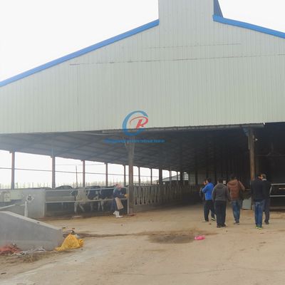 Construcción de acero con ventilación natural Granja de vacas Confortable Granja de ganado