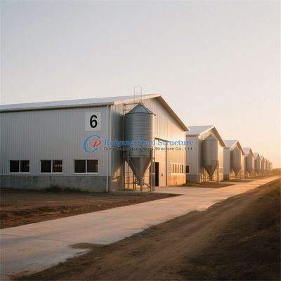 Quickly Assemble Steel Structure Building Chicken House