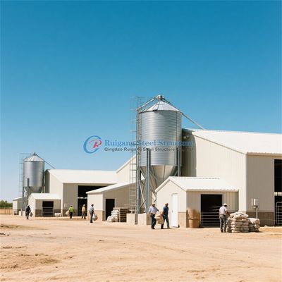 Estructura prefabricada de acero Casa de aves de corral Cuadro de acero personalizado Coop de pollo